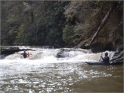 Spring Creek 21